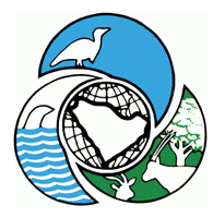 bl7 Logo