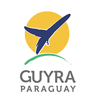 paraguay Logo