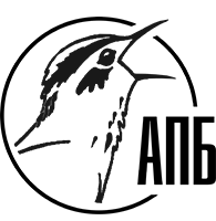 an6 Logo
