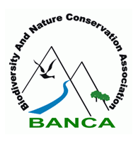 BANCA Logo
