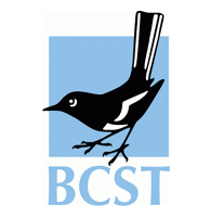 bcst Logo