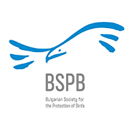 bspb Logo