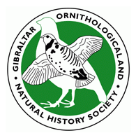 gibraltar Logo
