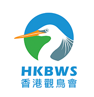 hkbws logo