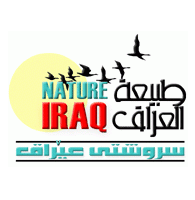 Iraq logo