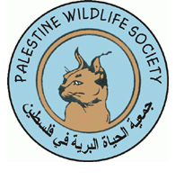palestine Logo