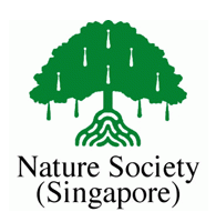 singapore Logo