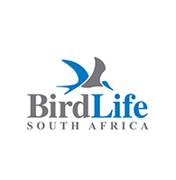 south-africa Logo