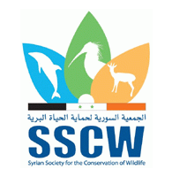 sscw Logo