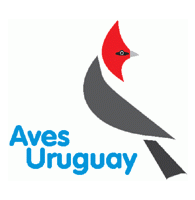 uruguay Logo
